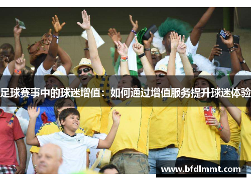 足球赛事中的球迷增值：如何通过增值服务提升球迷体验