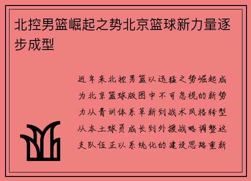 北控男篮崛起之势北京篮球新力量逐步成型