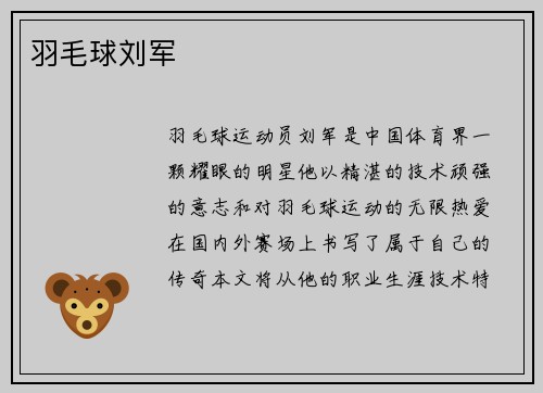 羽毛球刘军